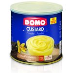Domo - Custard Vanilj 300gr x12